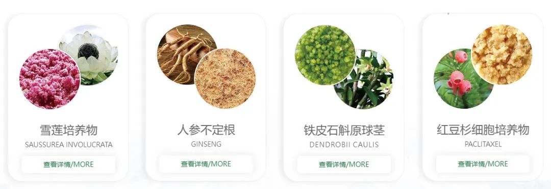 中國美容博覽會 中國美容博覽會