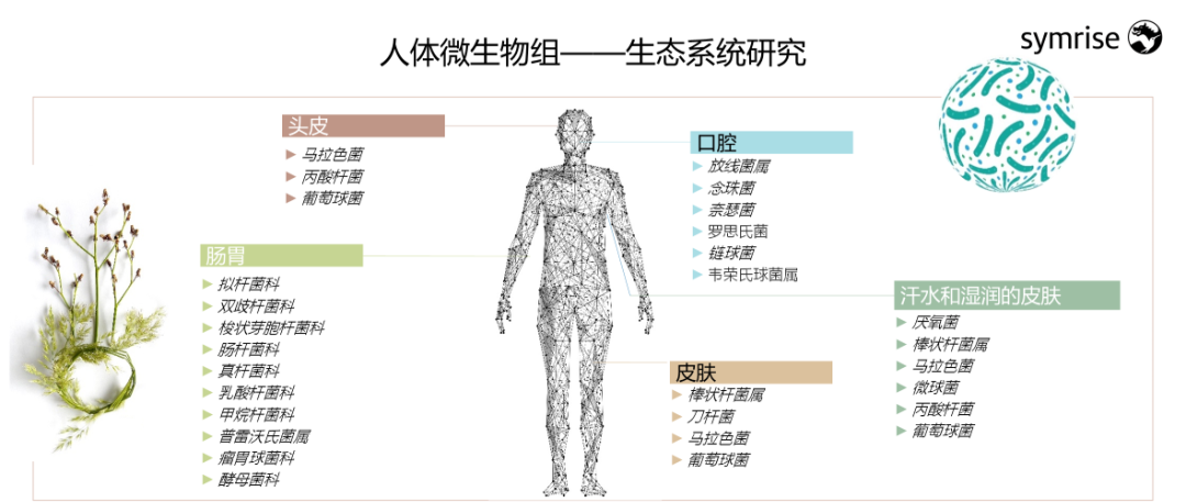 中國(guó)美容博覽會(huì) 中國(guó)美容博覽會(huì)