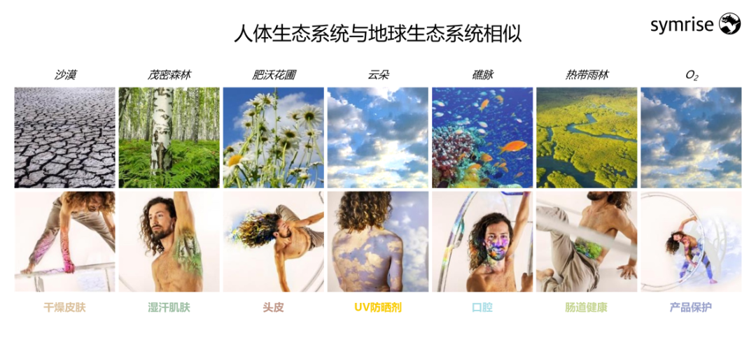 中國(guó)美容博覽會(huì) 中國(guó)美容博覽會(huì)